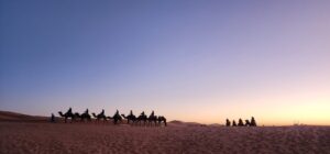 Tour 6 Giorni Marocco da Marrakech