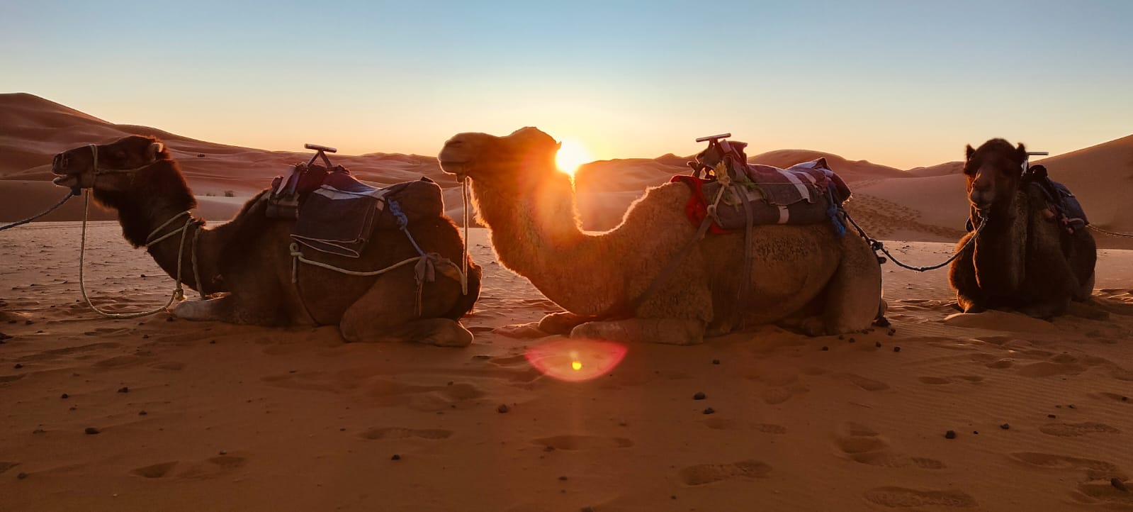 Quale Deserto del Marocco Scegliere